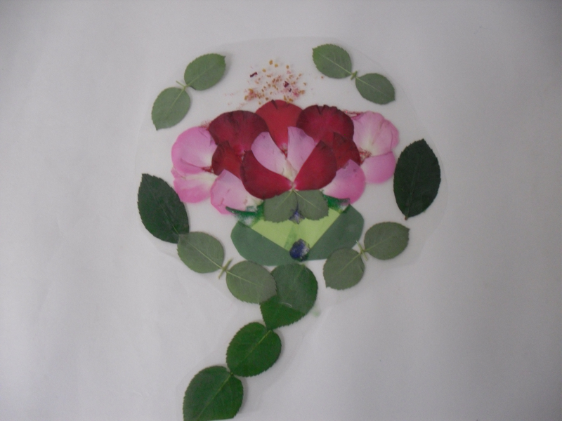 31396258_UJj19Og3_61b8769e41230dafd62064d8a2b65c1e7d059552.jpg 이미지크게보기